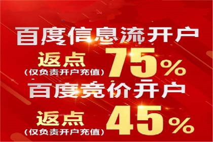 企业SEM服务实战案例解析